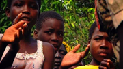 How To Celebrate the End of Malawi's Elephant War