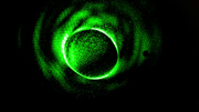 In Edinburgh, Daniele Faccio uses lasers to make black holes and test Einstein's Theory of Relativity