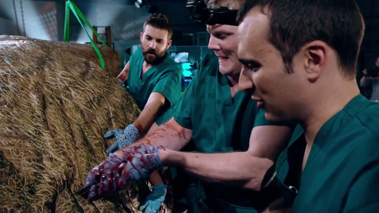 What happens when our team cuts into the T.rex for the first time?