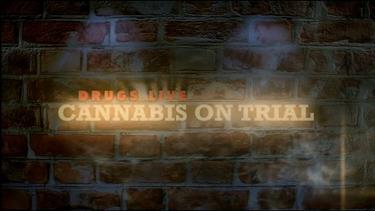 Channel 4 gives people cannabis to see if we have underestimated the impact of this drug